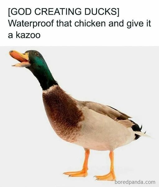 in his defence  he was drunk