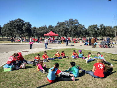 ParqueAlamillo's tweet image. Taller de patinaje en #ParqueAlamillo
Cada sábado o domingo de 12.00 h. a 14.00 h. 
Información y contacto 649 507 339
📍goo.gl/maps/fBy6JExmY…
#Patinaje #ClasesPatinaje #Infantil #adultos
@Rocio_DiazJ @Ayto_Sevilla @JuntaSevilla @Sevillaclp 
@FomentoAND