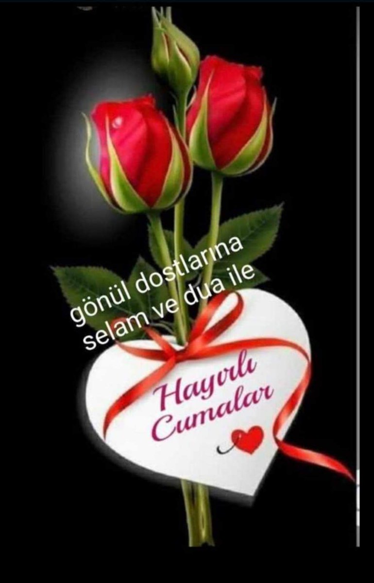 𝓐𝓴 𝓼𝓪𝓬̧𝓵ı (@r_pehlivanli) on Twitter photo 