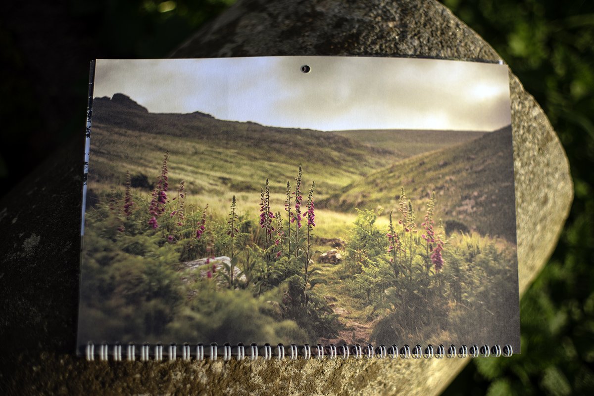GlavindStrachan's tweet photo. #Foxgloves Below #GerTor - #TavyCleave π·
This is the photograph for June on my Moody Moor Calendar for 2025 π·
12 marvellously moody images of #Dartmoor for only Β£15 including P&P
You can contact me directly or https://t.co/Ugccv1GJEF https://t.co/zB2X1U0K3C