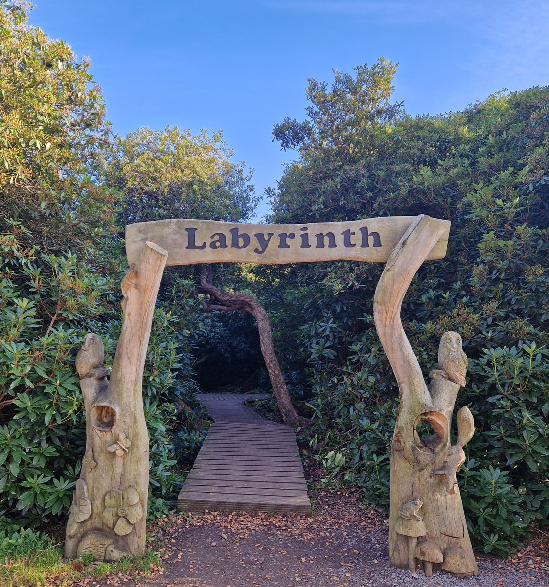 LabyrinthSupervision tweet media