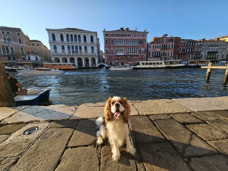 RJonTourUK tweet media