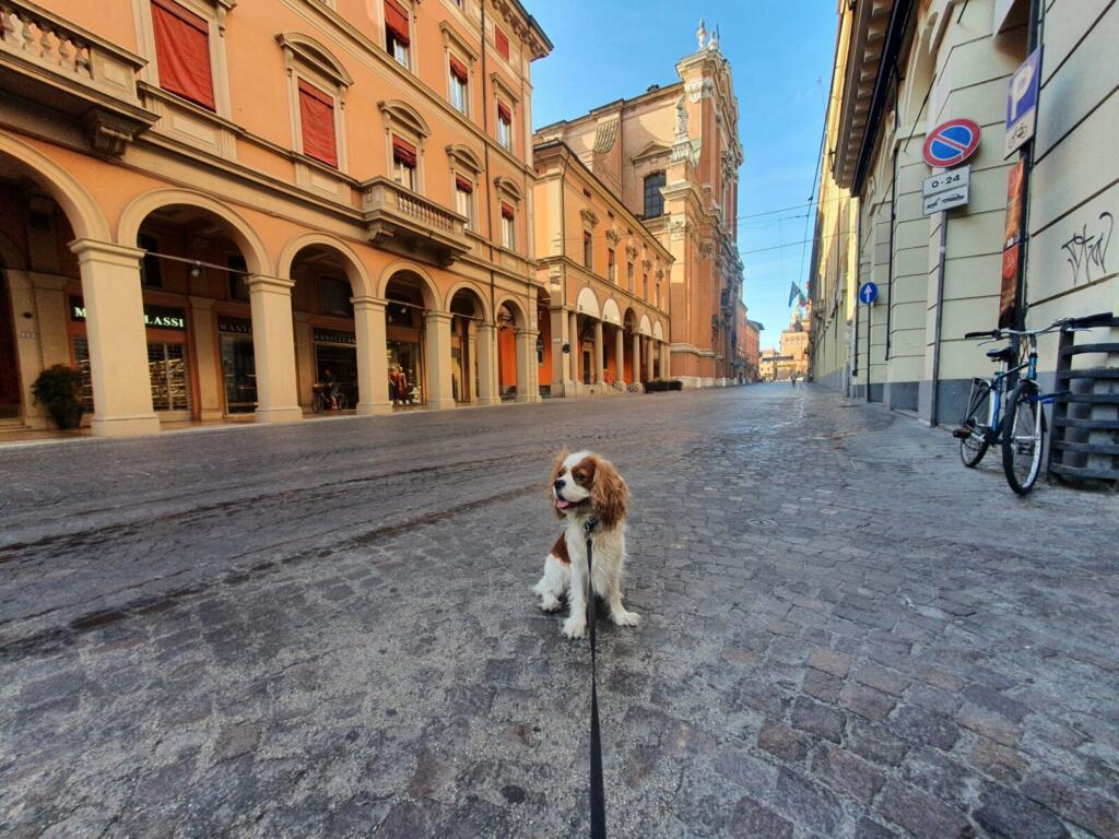 RJonTourUK tweet media