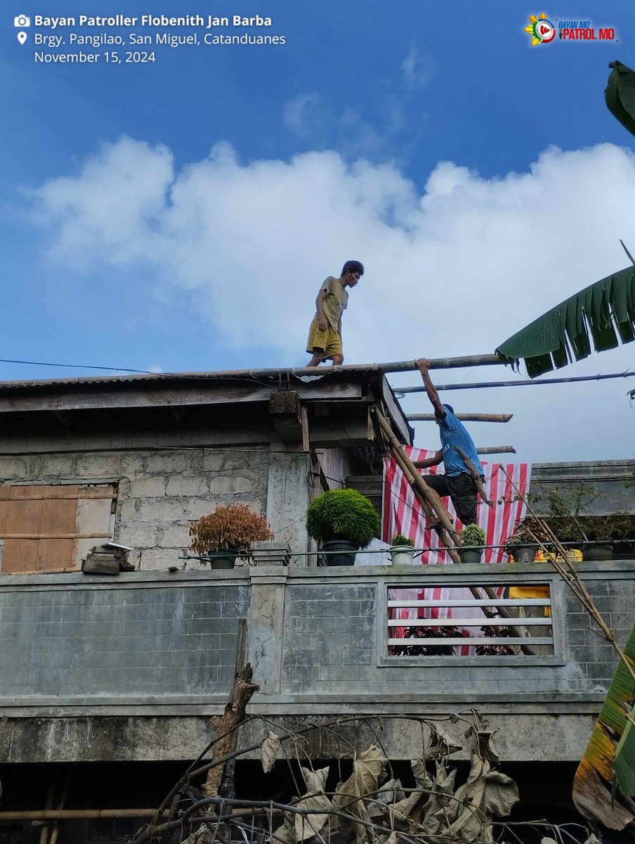bayanmo's tweet image. Naghahanda na ang mga residente ng Tambongon, Viga at Bgy. Bgy. Pangilao, San Miguel sa #Catanduanes para sa Bagyong #PepitoPH.

#Bagyo