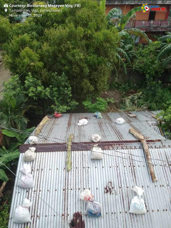 bayanmo's tweet image. Naghahanda na ang mga residente ng Tambongon, Viga at Bgy. Bgy. Pangilao, San Miguel sa #Catanduanes para sa Bagyong #PepitoPH.

#Bagyo