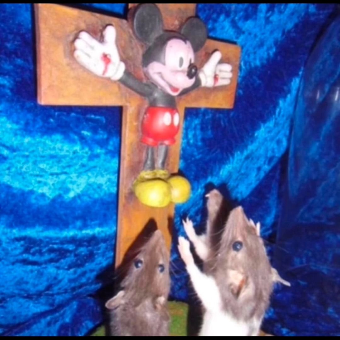 Goblin Moder tweet media