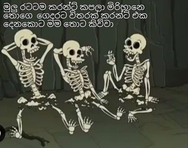 Thedmdvbd's tweet photo. අඩෝ නෝහ්! 😂
#lka #SriLanka #Election2024 #GeneralElectionSL https://t.co/RDh1bGrdUT