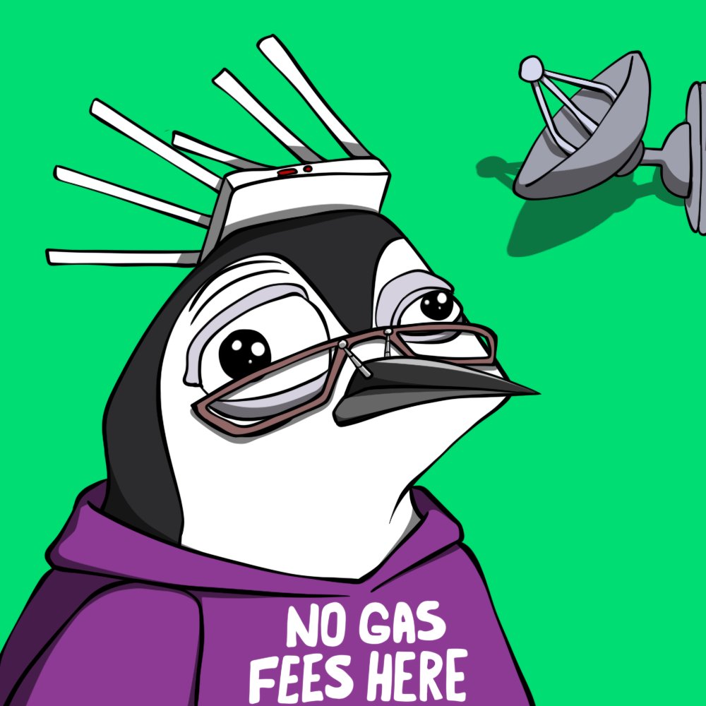 Just got a new dev! He’s a peng 
No experience but he looks trustworthy