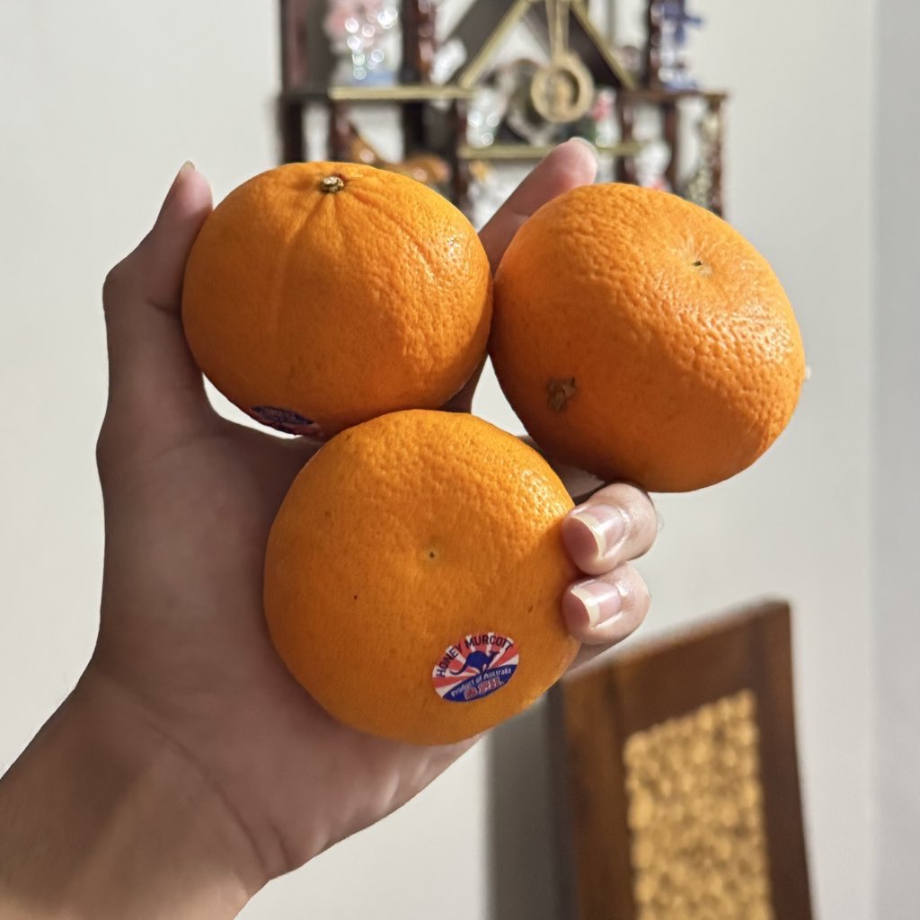 onewoonara's tweet photo. nih 3 orange secured (dari kulkas)😭 https://t.co/issdxYGEFI