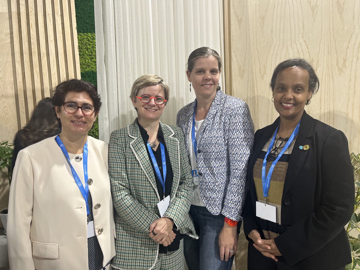 Further GGGI-⁦<a href="/UN_Women/">UN Women</a>⁩ collaborations explored at #COP29 to leverage work on women and youth in #JustTransitions and #GreenJobs with ⁦<a href="/kemuniye/">Hohit S. Gebreegziabher</a>⁩