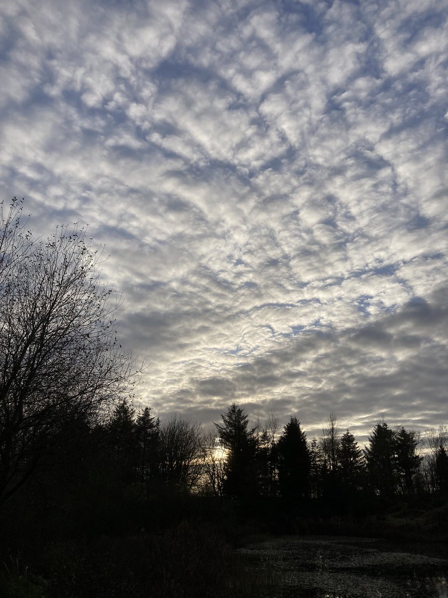 This week in the garden… #littlesparta