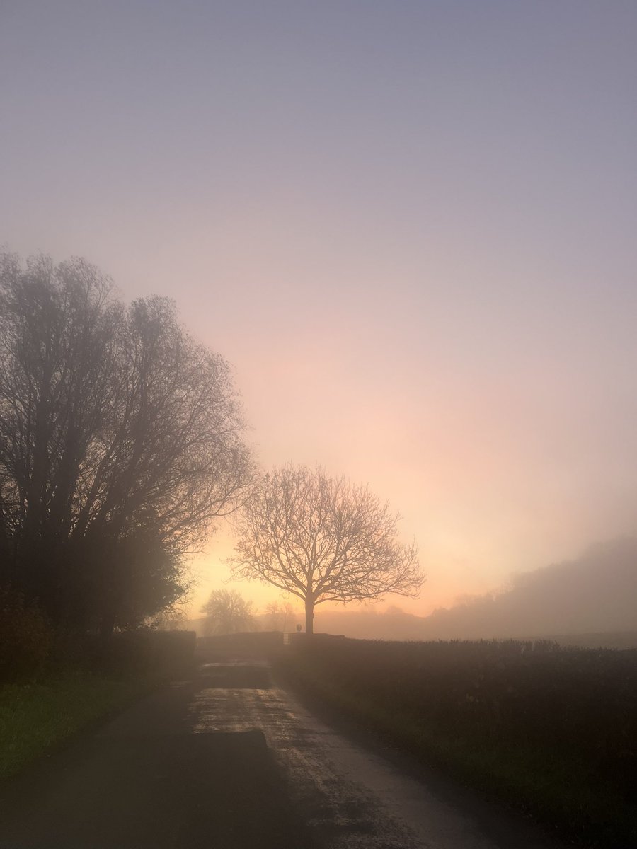 Jane Montgomery tweet media