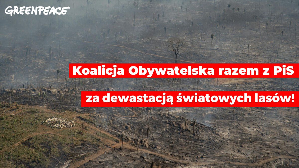 Greenpeace Polska tweet media