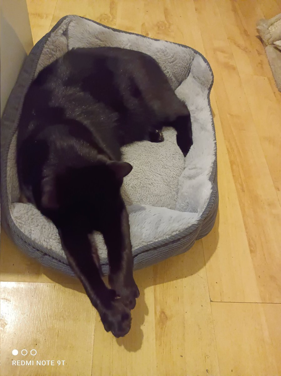 PFM✊ , bonjour ☕🤗