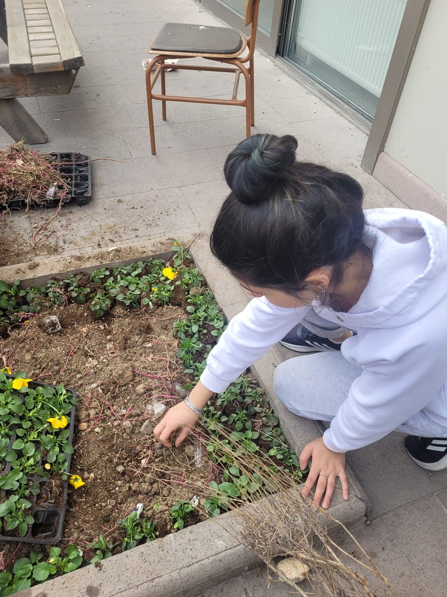AnkaraKYGM's tweet photo. 📍Emine Şerife Hanım Yurt Müdürlüğü

🌱Çevre Düzenleme ve Peyzaj Çalışma Etkinliği https://t.co/MfzHl7NaMQ