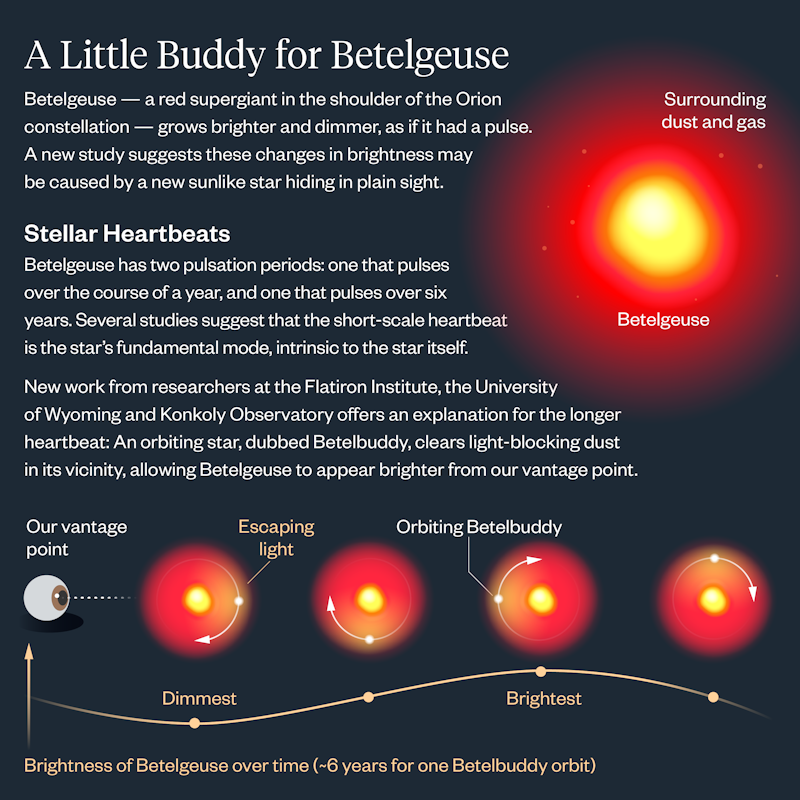 talius's tweet photo. #Betelgeuse #Betelgeuse? Bright star Betelgeuse likely has a '#Betelbuddy' #stellar #companion
One of the brightest stars in the sky, recent research shows that the #startlight #pulsing is probably caused by an unseen companion star orbiting Betelgeuse. https://t.co/8dBb7RNh8l https://t.co/cLHbMreNd0