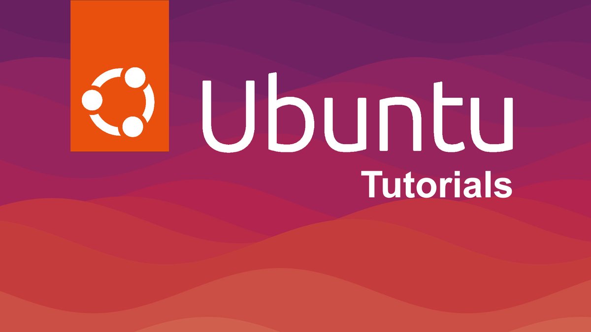 Patrick Domingues tweet media