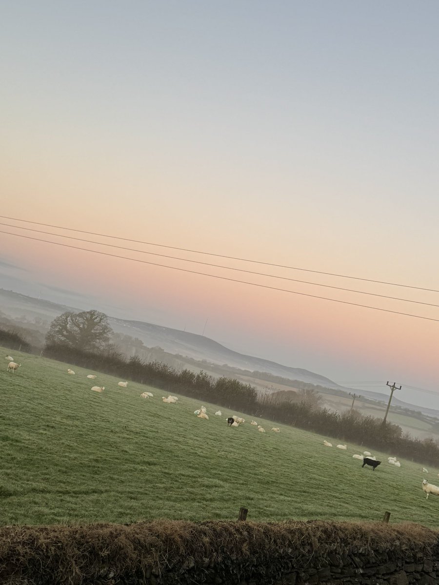 Stunning view, to start the day, whilst going through my community allocation and planning my day #nursing #community #districtnurse #cornwall #bankshift #countryside #cornwall #fields #sheep #sunrise #Friday <a href="/CornwallFT/">Cornwall Partnership NHS Foundation Trust</a>