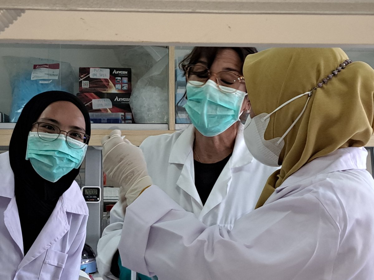 SELAMAT International Joint Laboratory tweet media