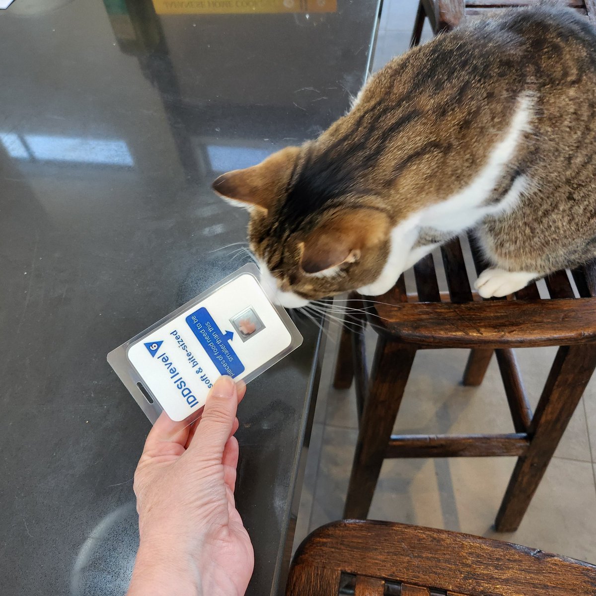 Treats pass the test #IDDSI