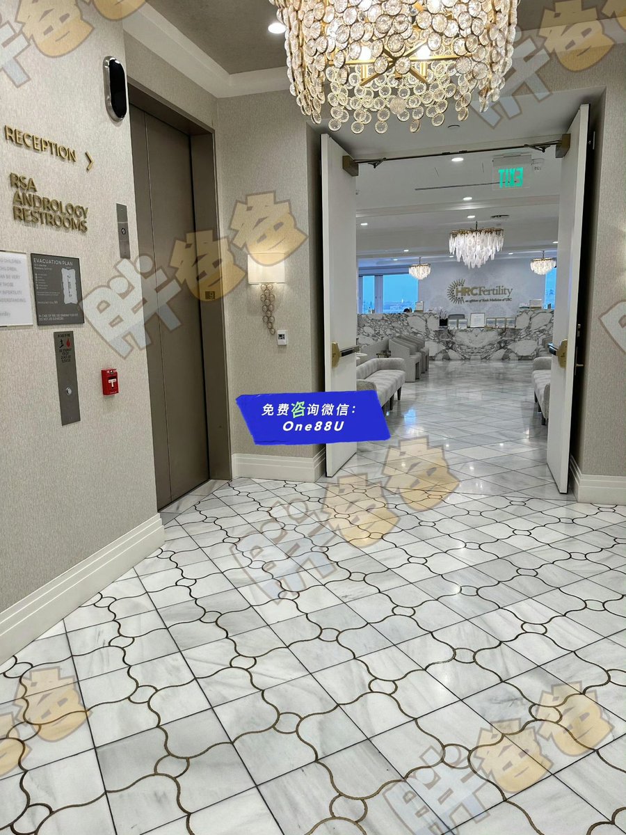 DonationAgency's tweet photo. 美國時間上午9點，VIP客戶選擇的美國代孕媽媽K在HRC-Pasadena順利移植，將於兩周後驗孕

哥倫比亞代孕 加州代孕 德州代孕 紐約代孕 加拿大代孕 格魯吉亞代孕 https://t.co/kTZZqG4ZOj