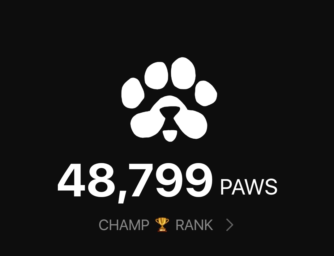 IjenManing's tweet photo. my #PAWS 🐾 https://t.co/zhVbO6RVAU