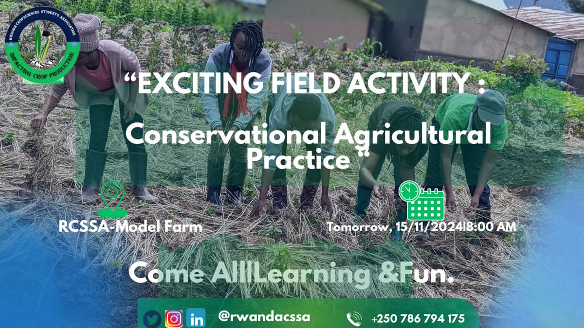 AgriPeakClub's tweet photo. Exciting,

After uneasy session of application we're thrilled to announce that we have a field activity this Saturday 8:00AM at our model farm!

The activity is about" CONSERVATIONAL AGRICULTURAL PRACTICE". Don't miss the chance to learn from us!
#RCSSA, #Research_Empower_Impact! https://t.co/1v5eCr92AK