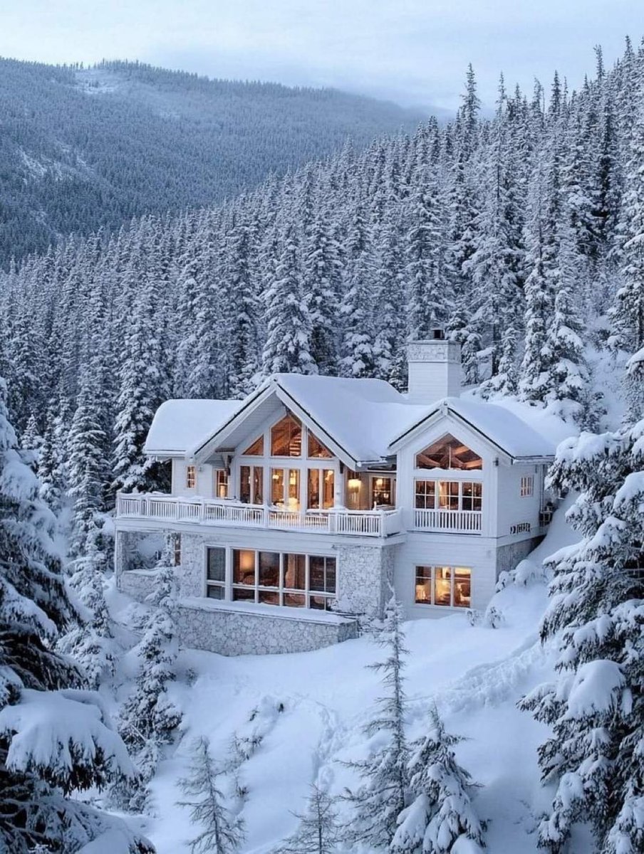 Amazing_Viewss tweet media