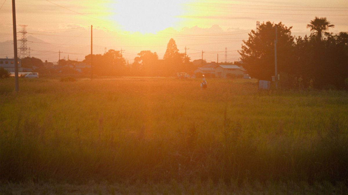 tcf_nw's tweet photo. 【実行委員の紹介コメント】
『帆の向くままに』

ありふれた夏の一日を描くロードムービー。ふわふわした雰囲気を持つ主人公、割れたグラス、同じ味だけど色の違うかき氷、ほどけたままでいい靴紐。日常的な普通のものを魅力的に見せてくれる不思議な作品です。

プログラム詳細とチケットはこちら👇
https://t.co/pjsPVQE86n

🎬 11/16[土] ベルブホール
【D-1】TAMA NEW WAVEある視点 ―Vol.1―

帆の向くままに
［39分／監督：多持大輔］