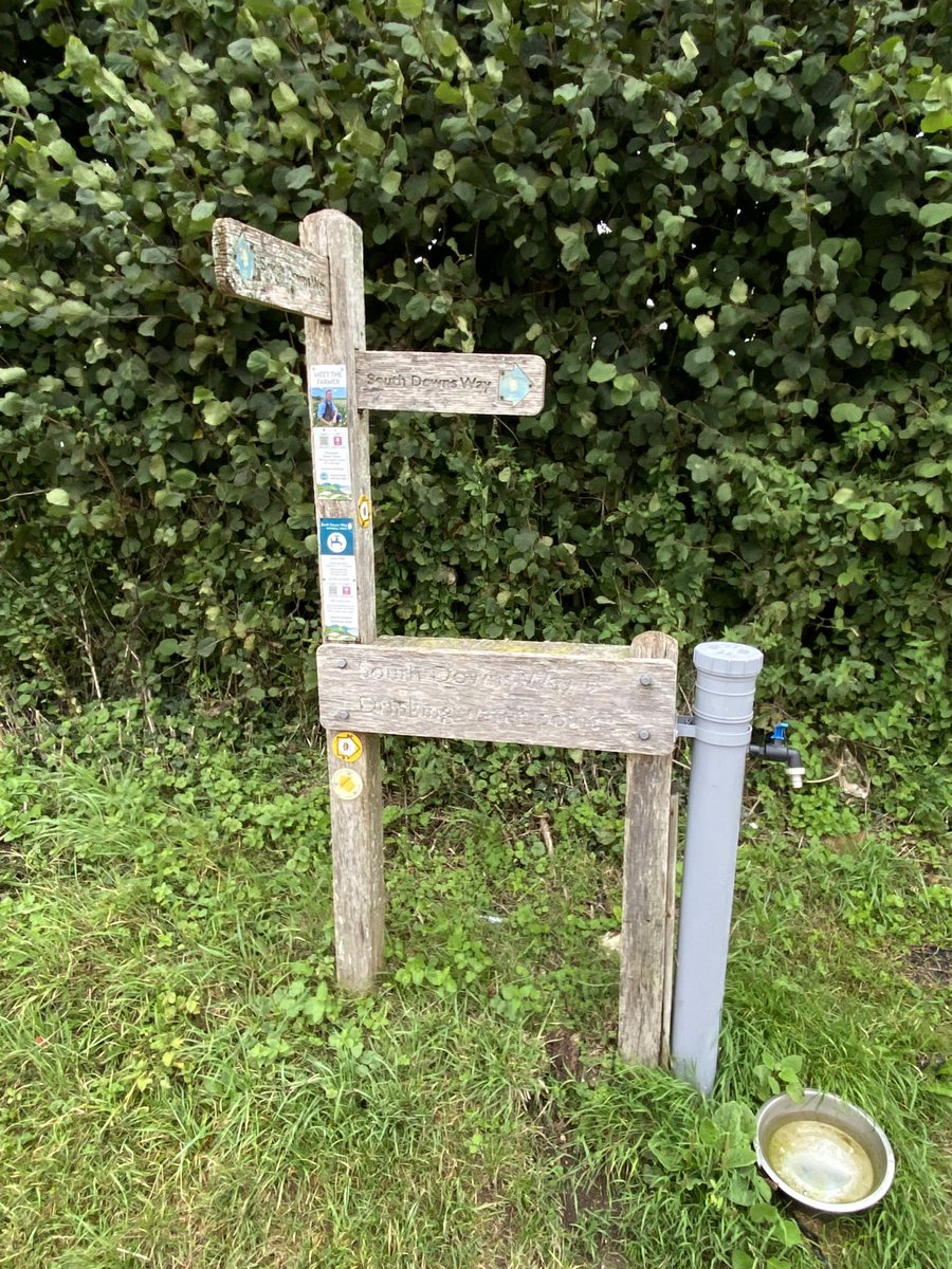 OurScapes's tweet photo. #fingerpostfriday
#fingerpost
A multi purpose finger post with a tap.
It can be found at Lomer Farm Cottages on the
South Downs Way and it is one of the free water points.
#southdowns #waterpoint https://t.co/DhgkKY1qny