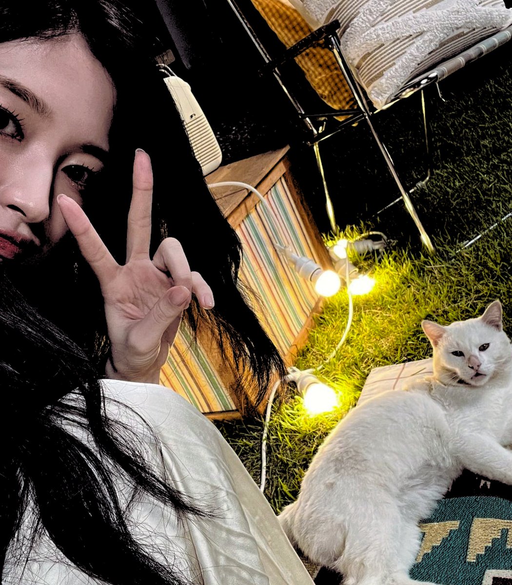 99MVCYW's tweet photo. ㅤ

last night before the farewell, and this rascal is still nameless. 

ㅤ https://t.co/OQkoDbVen2