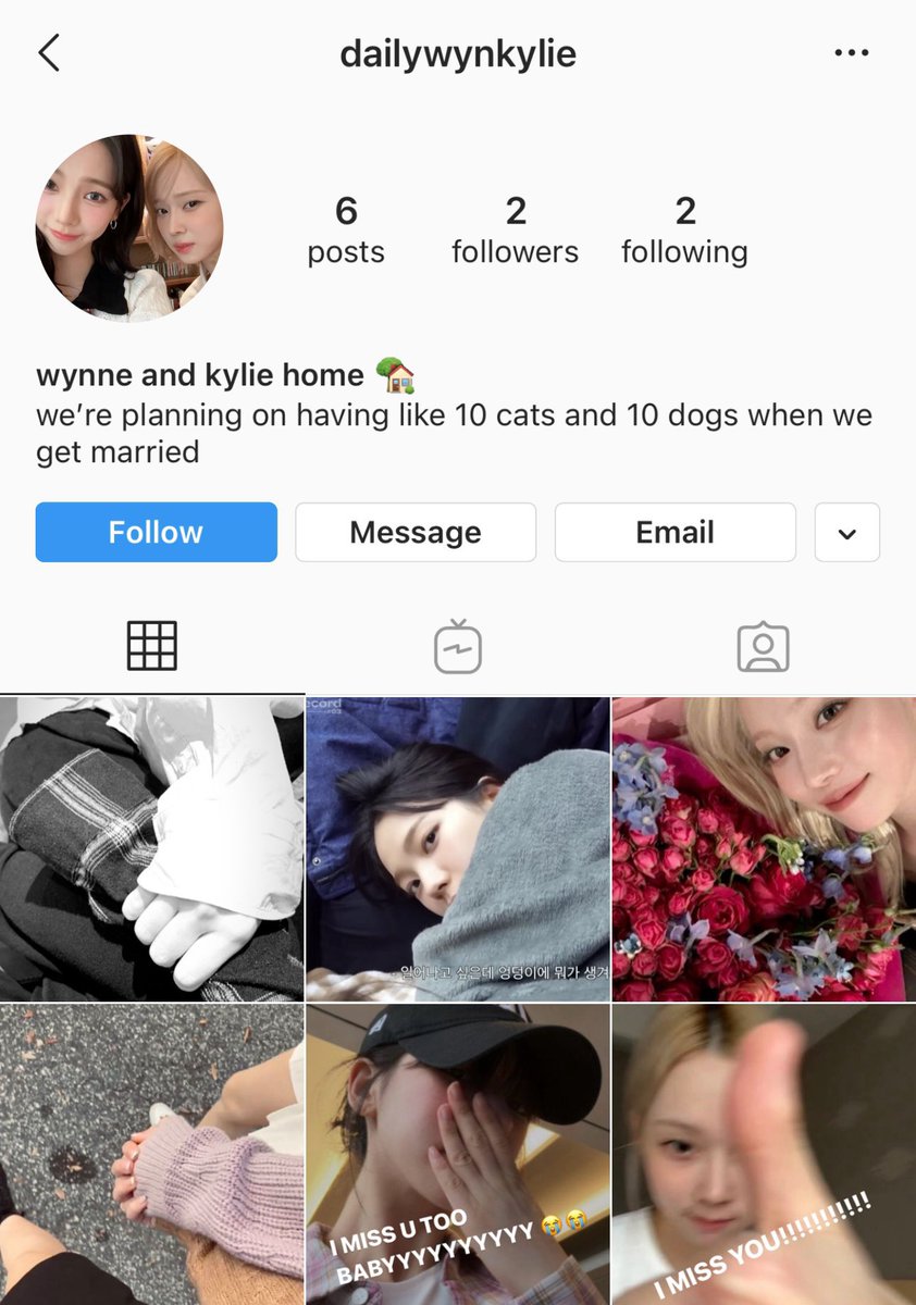 leawriting's tweet photo. jiminjeong / winrina few tweets au

just kylie’s daily attempts to win wynne over again.

by ©leawriting https://t.co/Xtjsvqeykh