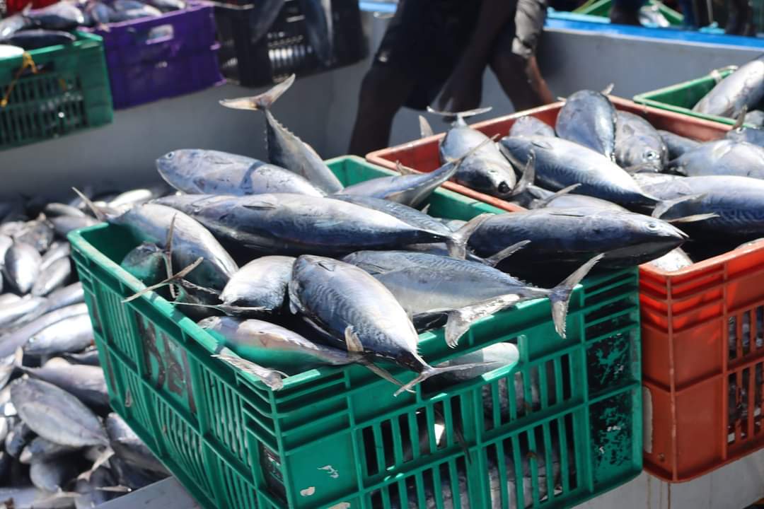 You are thinking of a conducive investing environment, and you don't want to think of Kilifi County. You miss are the mark. 
#InvestInKilifi
#KCIIC2024