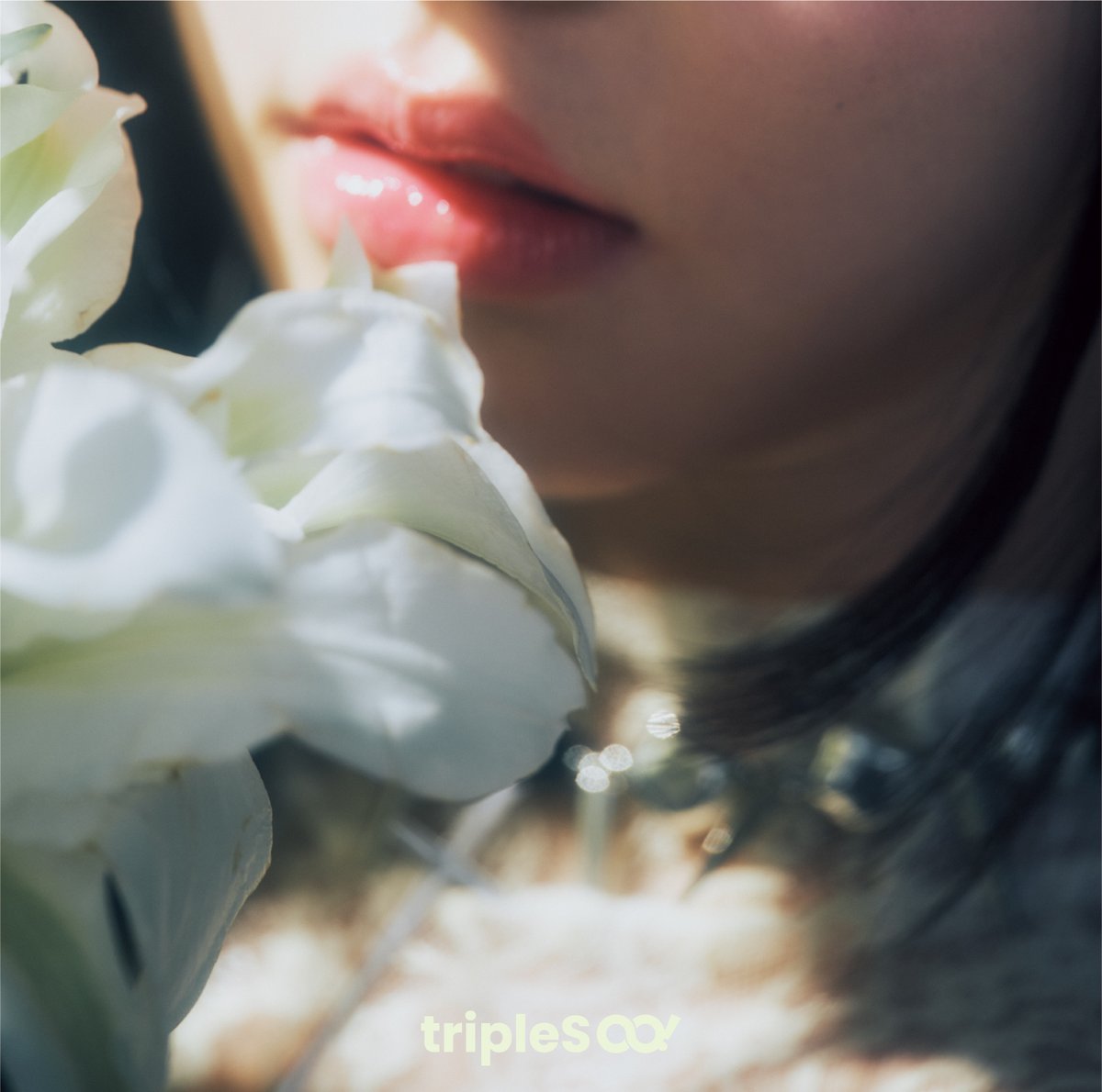 tripleS_JAPAN's tweet photo. ／
tripleS ∞!「アンタイトル」先行配信スタート📣
21時からMVプレミア公開決定！
＼

#tripleS_untitled をつけて
たくさん感想をポストしてください✨

🎧ST/DL
https://t.co/TBI6vGIRrx

🎥MV
https://t.co/wWWjWSwVjv

#tripleS #트리플에스
#トリプルS #トリプルエス #トエス
#tripleS_Hatchi https://t.co/21WXuskodT