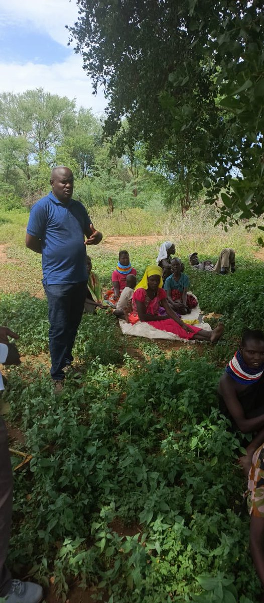 AcmeKenya (@acmekenya) on Twitter photo Field visitations by the Karamoja Cluster Manager to the DCC and NADOME Farmers in Lokichoggio Sub County earlier in the week <a href="/CBCResilience/">The Cross Border Community Resilience Project</a> <a href="/USAIDKenya/">USAID Kenya</a> <a href="/Ijackaa/">Ijackaa Imoite</a> <a href="/NOmwolo/">Nicholas Omwolo</a> Field visitations by the Karamoja Cluster Manager to the DCC and NADOME Farmers in Lokichoggio Sub County earlier in the week <a href="/CBCResilience/">The Cross Border Community Resilience Project</a> <a href="/USAIDKenya/">USAID Kenya</a> <a href="/Ijackaa/">Ijackaa Imoite</a> <a href="/NOmwolo/">Nicholas Omwolo</a>