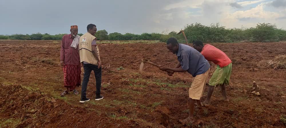 BORESHA_HoA's tweet photo. 1/2 In Dolo Ado Woreda,100 ha of land are available for fodder production this rainy season.
@BORESHA_HoA in collaboration with the Livestock &amp; Pastoralist Office is integrating 200 farmers into fodder production &amp; facilitating market linkages btw fodder farmers &amp; seed suppliers. https://t.co/C0SCG6SBSW