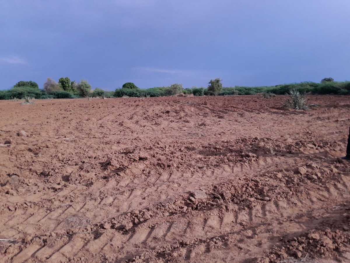 BORESHA_HoA's tweet photo. 1/2 In Dolo Ado Woreda,100 ha of land are available for fodder production this rainy season.
@BORESHA_HoA in collaboration with the Livestock &amp; Pastoralist Office is integrating 200 farmers into fodder production &amp; facilitating market linkages btw fodder farmers &amp; seed suppliers. https://t.co/C0SCG6SBSW