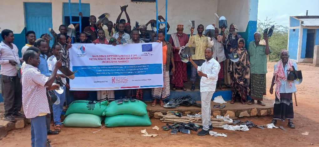 BORESHA_HoA's tweet photo. 2/2 By leveraging market system connections, farmers are provided with agricultural inputs and technical support incentives, including training sessions, 1000 kg of Sudan grass seeds, and necessary farming tools. https://t.co/mxUhYTrbwX