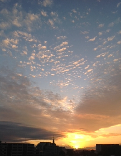 gevdime's tweet image. .
I also became close to nature, and am now able to appreciate the beauty with which this world is endowed.
.
-　James Dean
.
      .📷me