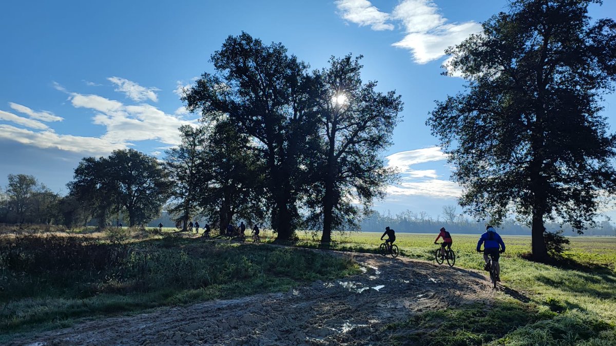 Club Excursionista de Gràcia🎗️ tweet media