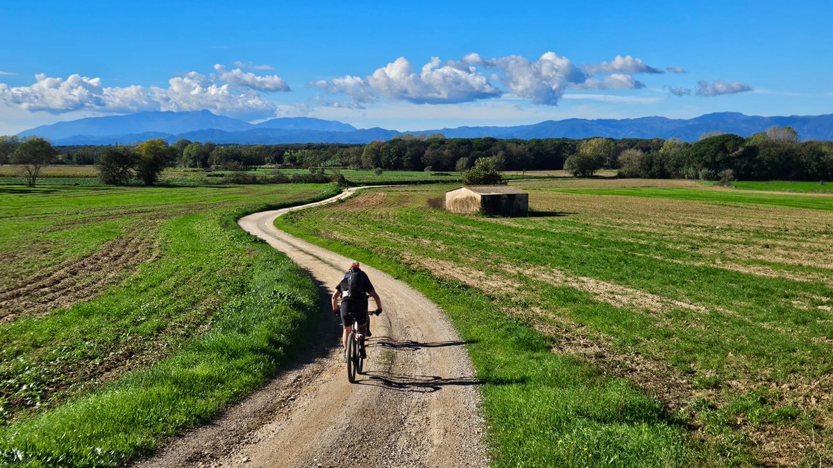 Club Excursionista de Gràcia🎗️ tweet media