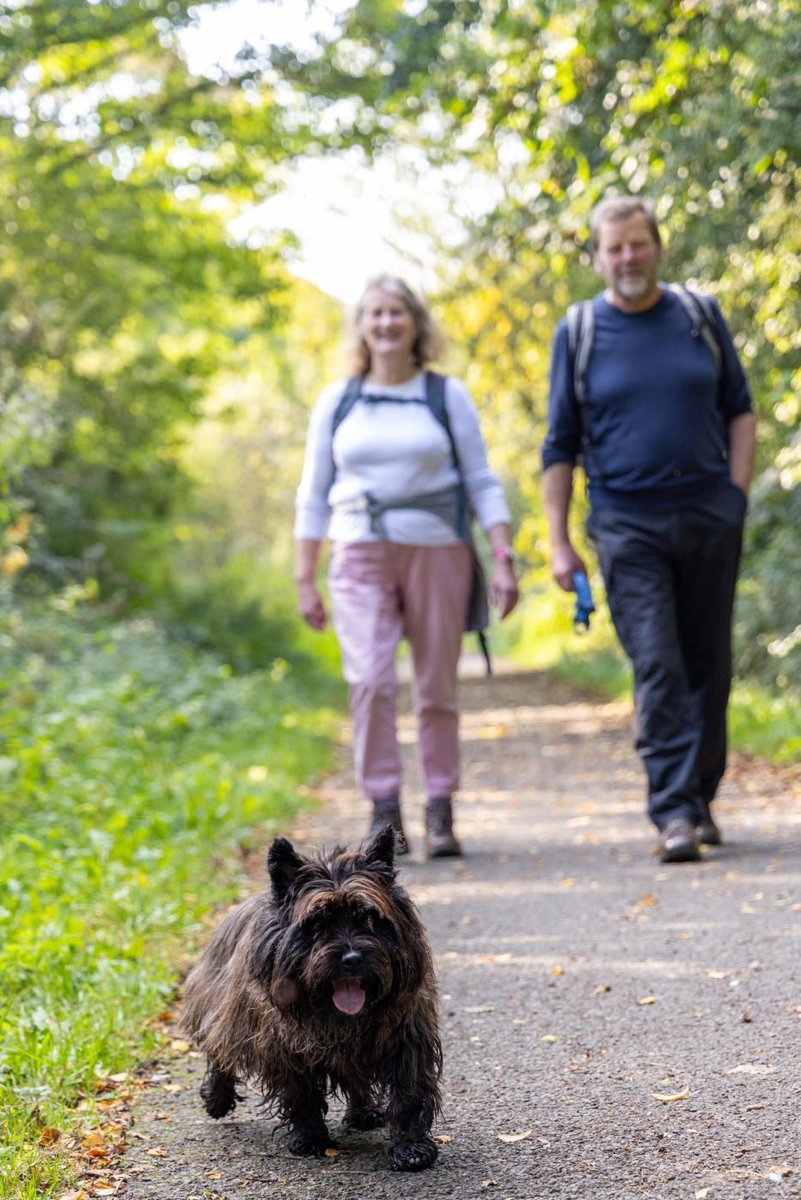 Walk Wheel Cycle Trust tweet media