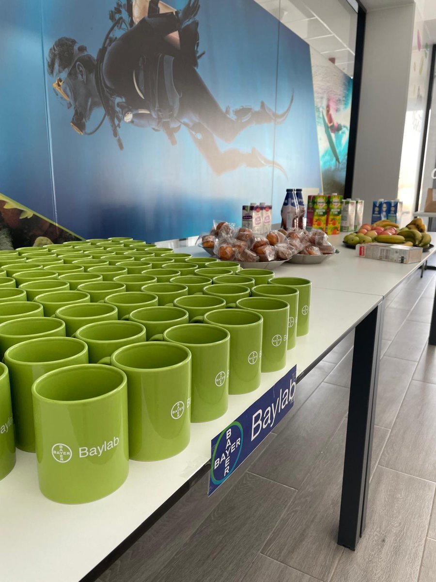 Bayer4CropsES's tweet photo. 🌱💡Iniciamos nuestro #BayLab en el IES Sabinar, una iniciativa global de Bayer Crop Science para fomentar el interés de los más jóvenes por la ciencia.
¡Abrimos hilo! 👀⤵ https://t.co/pwlOyEgSgr