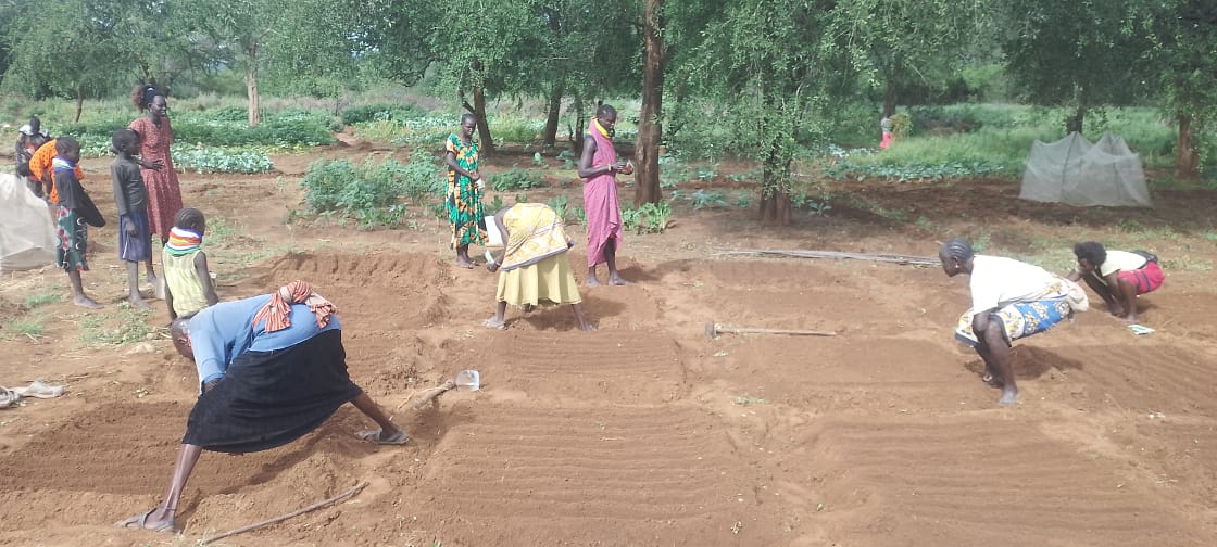 AcmeKenya's tweet image. Weeding of the old farms and Seedbed preparations of the new planting season targeting Christmas festivities in our Oropoi Ngaren Kaapei Group. @Ijackaa