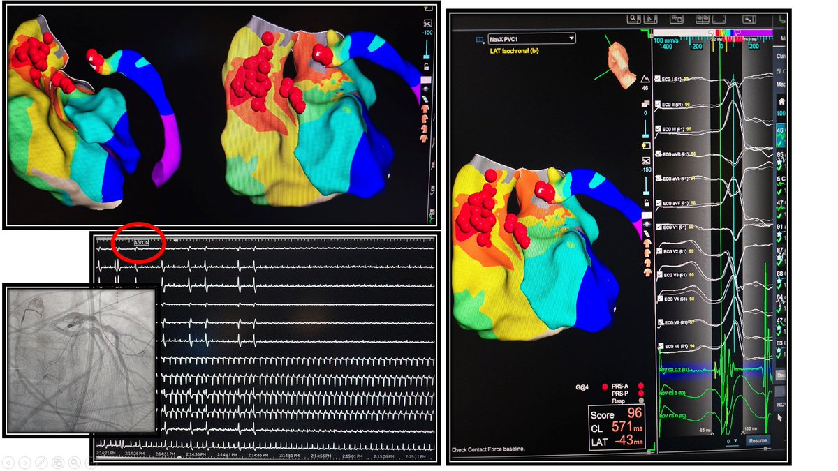 Danesh Modi tweet media