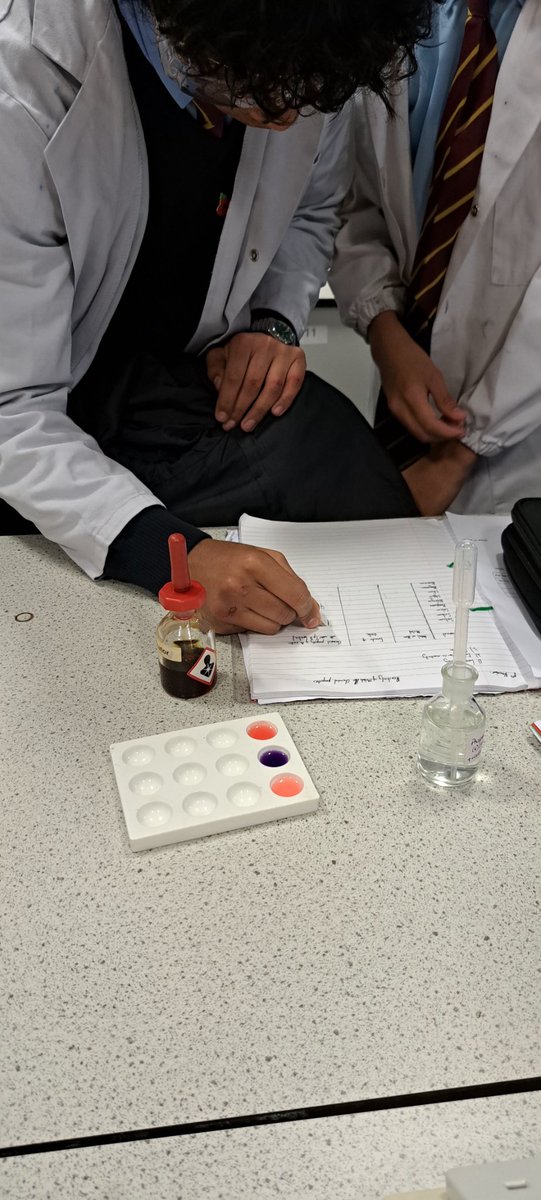 MissHarris tweet media