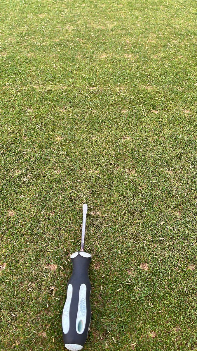 The recent mild conditions are perfect for recovery from both divot &amp; sand injection work.