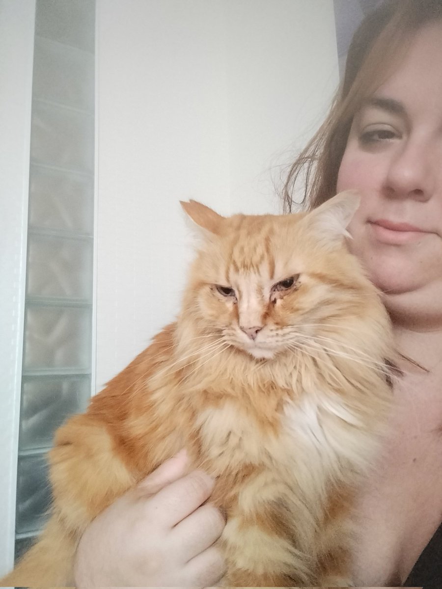 Good morning! 😴😴