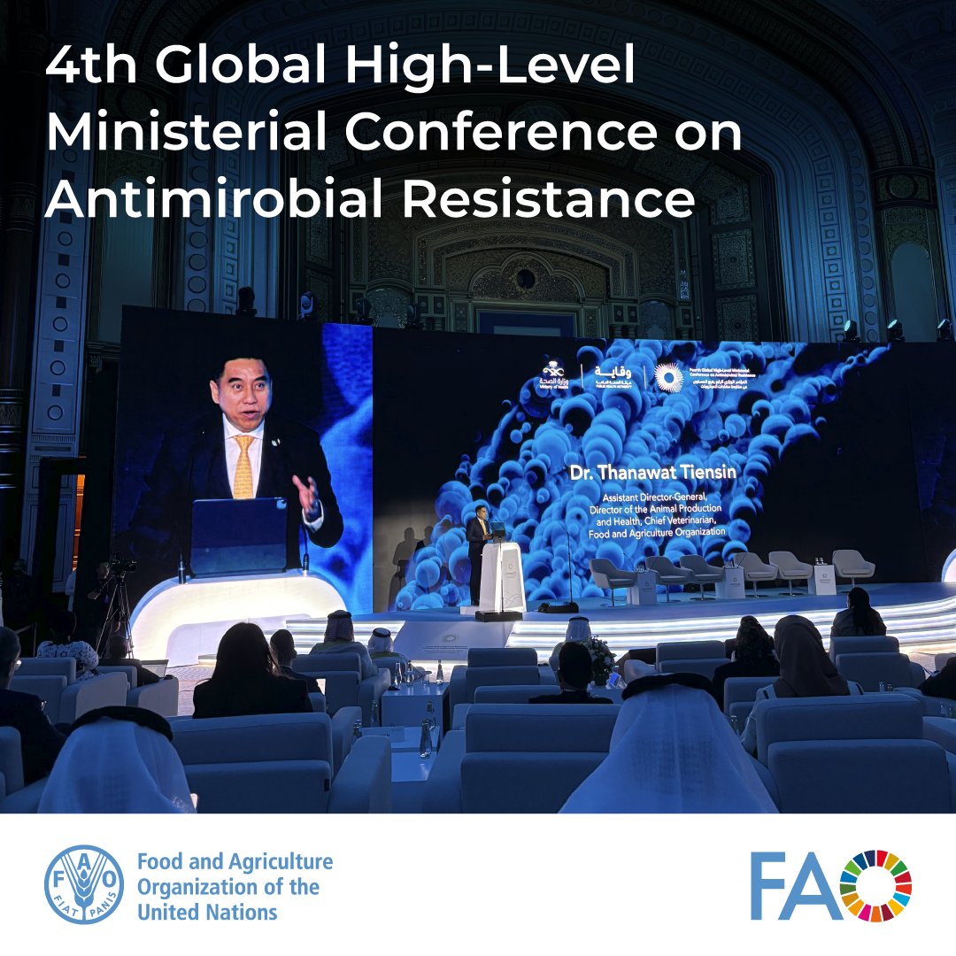 FAO Livestock (@faolivestock) on Twitter photo 🌍 <a href="/FAO/">Food and Agriculture Organization</a> is honored to be at the #4thMinisterialAMR in Jeddah and thanks <a href="/SaudiMOH/">وزارة الصحة السعودية</a> for hosting this crucial event.
There is no health without safe, nutritious, and healthy food. Through united, cross-sectoral action we can address the global threat of #AntimicrobialResistance🌱💊 🌍 <a href="/FAO/">Food and Agriculture Organization</a> is honored to be at the #4thMinisterialAMR in Jeddah and thanks <a href="/SaudiMOH/">وزارة الصحة السعودية</a> for hosting this crucial event.
There is no health without safe, nutritious, and healthy food. Through united, cross-sectoral action we can address the global threat of #AntimicrobialResistance🌱💊