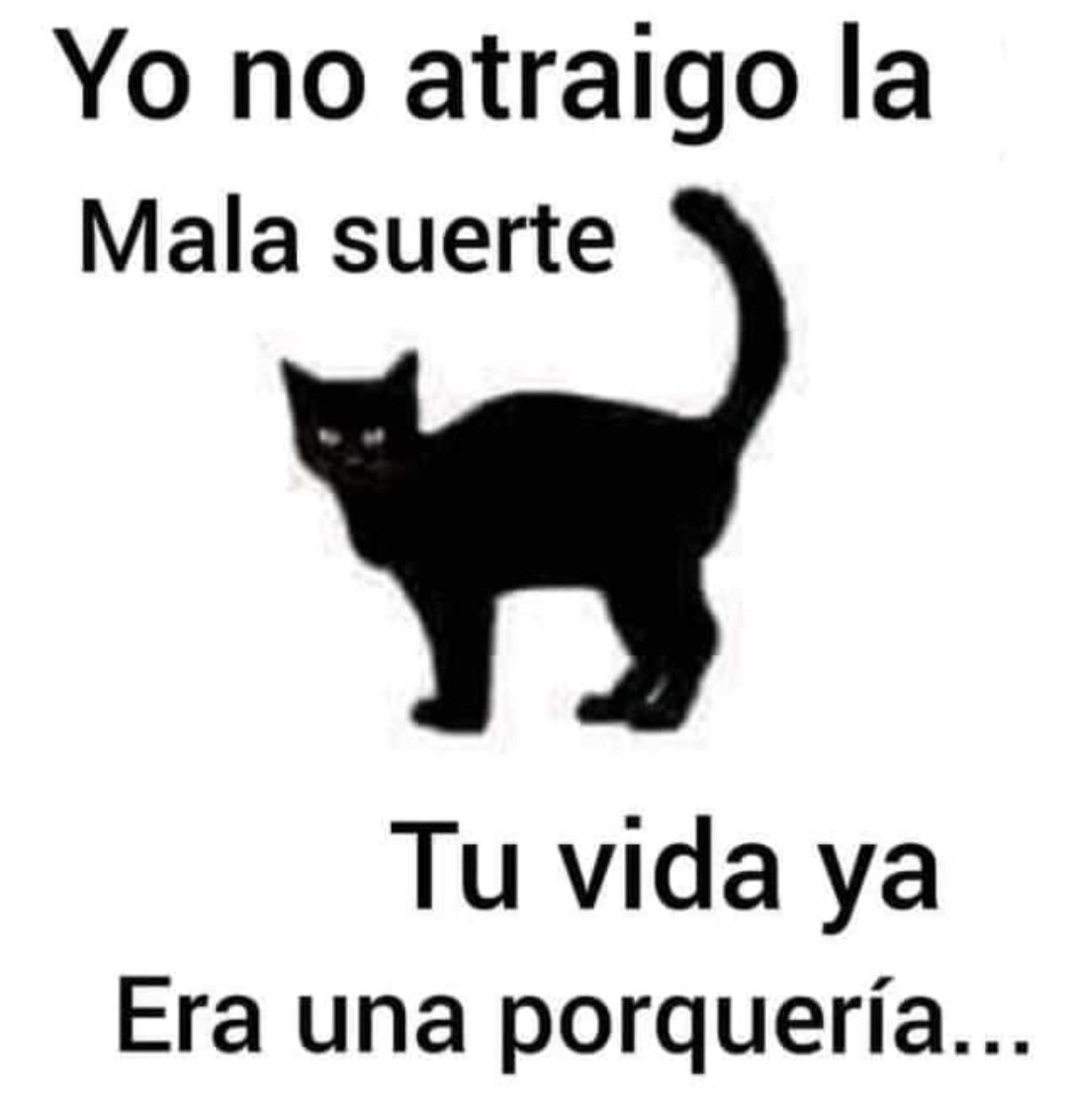 Egun on humanos 😘😘🐼🐱